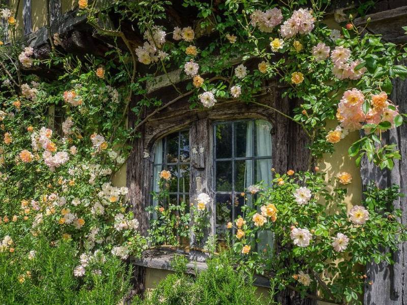 Garden of Grace