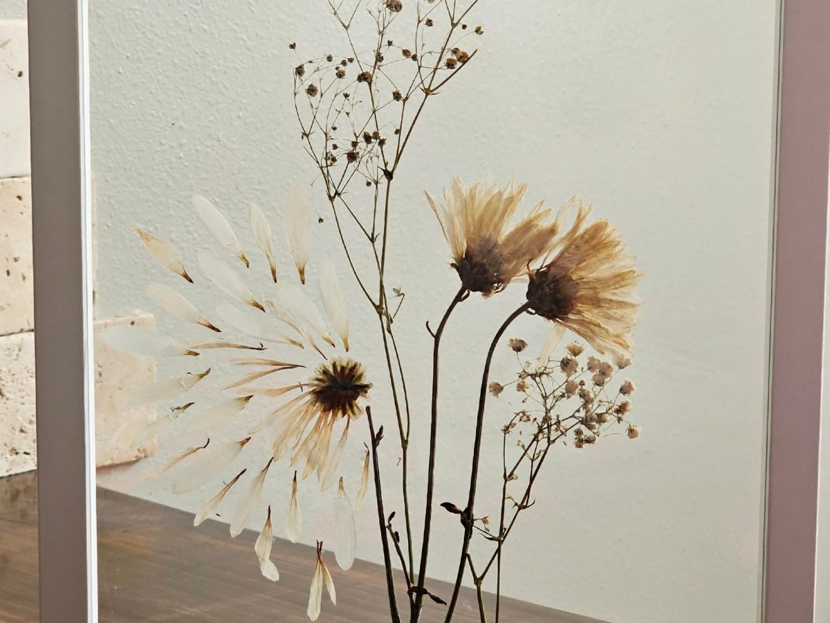 Pressing Flowers, Preserving&nbsp;Memories
